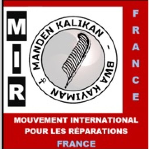 Nouveau_Logo_MIR-section-France.